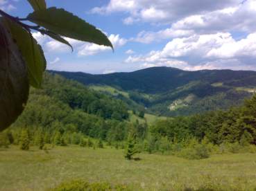 Gorce.